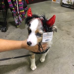 Meet your Posher, Charles